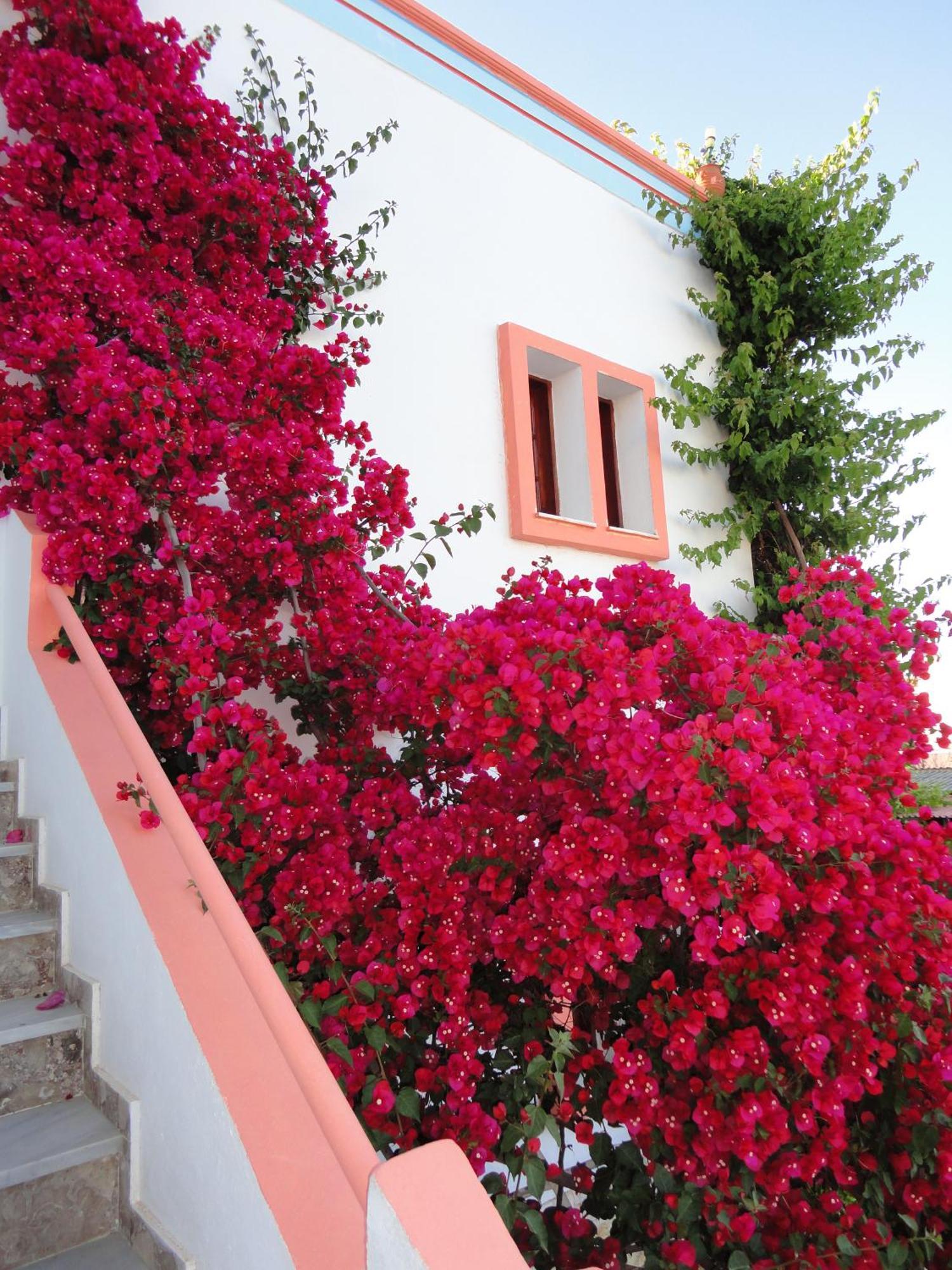 Villa Elizea Stalos Exterior photo