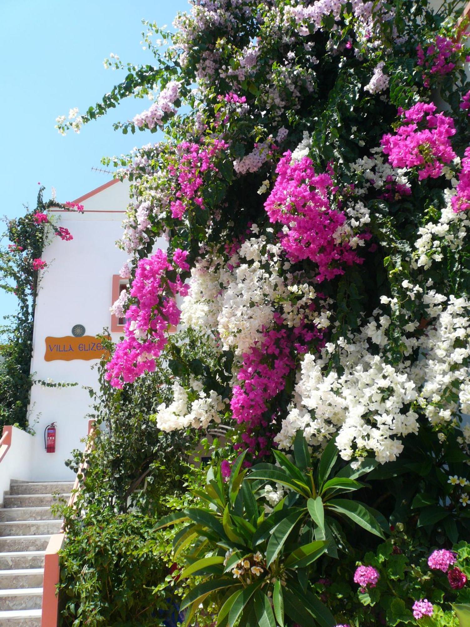 Villa Elizea Stalos Exterior photo